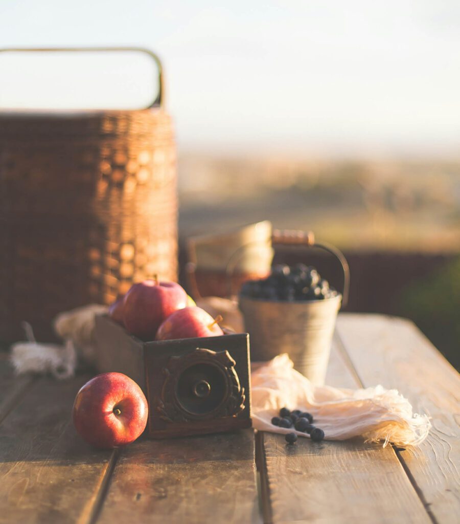 picnic