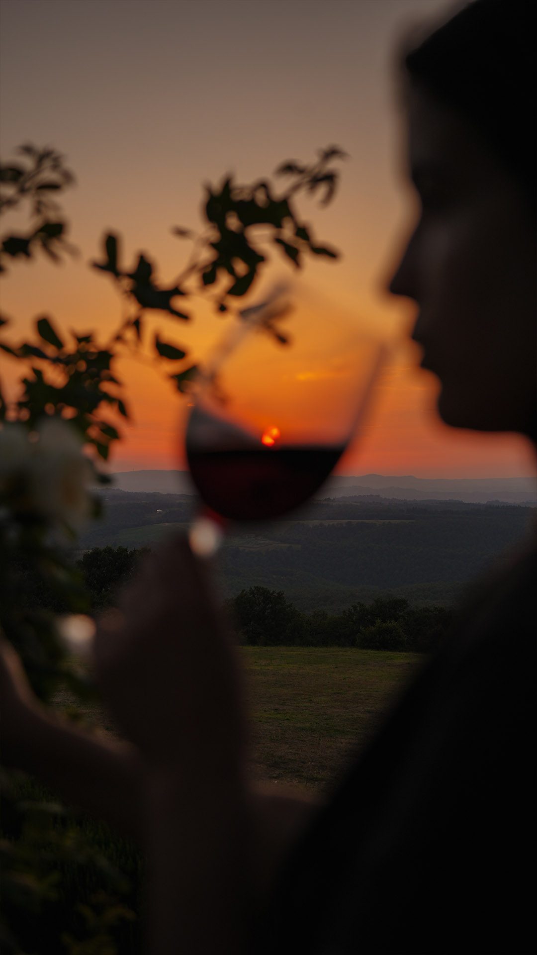 vino-tramonto-ristorante-essenza